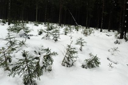 Indywidualny strój maskujący zimowy